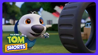 Hanks wildes Reifen-Abenteuer! 🛞 - Talking Tom Shorts | Kinderfilme | WildBrain Kinder