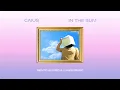 Caius - In The Sun (Bento Alfred & Lukke Remix)