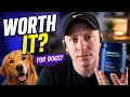 Do PetLab Co Probiotics Actually Help Dog Allergies