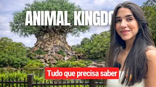 ANIMAL KINGDOM DISNEY : Guia completo pra um dia perfeito de parque!