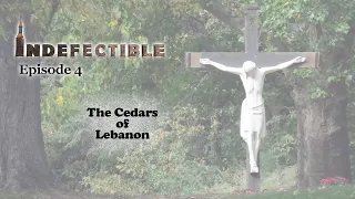 Indefectible 4 The Cedars of Lebanon