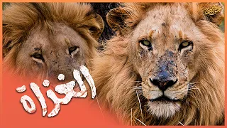                                                                               دندنها