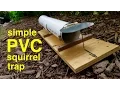 Lagu How to Make a ●  PVC Pipe Squirrel Trap  (that works!)