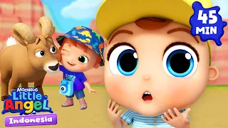 Ayo Pergi Camping! 🏕️🌲 Little Angel | Kumpulan Lagu Anak | Bahasa Indonesia