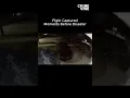 Camera Captures The Moment Camgirl Melissa Turner Crashes Out On Fiance