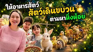 รวมคลิปไห้อาหารสัตว์สัตว์เดินขบวนพาเหรดตามหาหิ่งห้อย