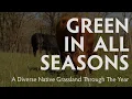 Download Lagu A Diverse Native Grassland - Green in All Seasons