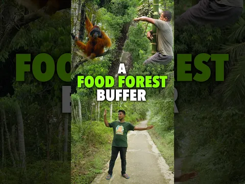 Can a Food Forest Help Protect Farmers’ Crops?