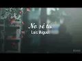 Luis Miguel - No Sé Tú (Letra) ♡