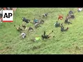 WATCH: England's annual cheese rolling race