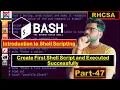 Shell Scripting Basics Introduction Creating Your First Script and use Multiple Execution Methods