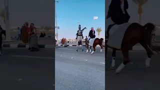 عراك الخيول العربية الاصيلة فرسان خيول عربية اصيلة السعودية الاكسبلور العراق قطر لبنان مصر 