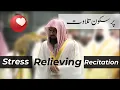Download Lagu Stress Relieving Tilawat Recitation | Calm and Beautiful | Sheikh Shuraim | Light Upon Light