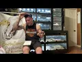 Breeding Burmese Pythons 101 prt 1