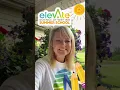 Science of Writing Summer School by Elevate
