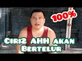 Download Lagu CIRI CIRI (AHH)AYAM HUTAN HIJAU JODOH BIRAHI DAN BERTELUR