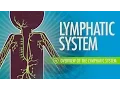 Lymphatic System: Crash Course Anatomy \u0026 Physiology #44