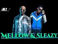 Download Lagu Mellow \u0026 Sleazy X TheBuu X Dj 787 X Mulest VanKay - Xibangovu (feat.Khensani)