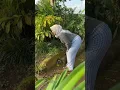 Download Lagu Aku bingung