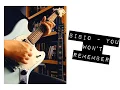 Bibio - You Won't Remember - Cover