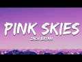 Zach Bryan - Pink Skies
