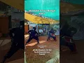 Shamshir V. Mongol Saber #explore #martialarts #sword #sword #trendingshorts #swordfighting