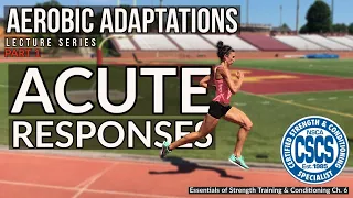 Acute Responses to Aerobic Training CSCS Chapter 6