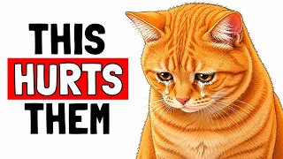 These 9 Everyday Things HURTS Your Cat's Feelings