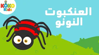 اغنية العنكبوت النونو   كوكو كيدز دندنها