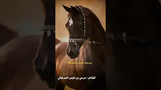 قصيدة الحجه الشاعر مرعي بن دايس السرحاني 