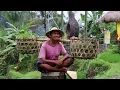 Download Lagu Beautiful Indonesia | Cinematic video | Pixdeluxx