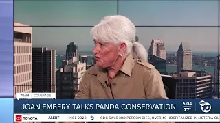 Wildlife conservationist speaks to 10News about importance of new panda habitat