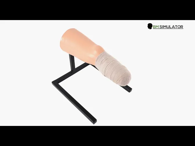 OT034  หุ่นฝึกพันผ้าพันแผลบริเวณขา / Stump Bandaging ( Lower Limb) Model