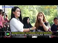 Download Lagu SALAH PILIH ELLA SUSANTI SHOW NIRWANA MANDALA SAKTI PESTA HAJAT BPK KARIMAN IBU ROPIKOH BUGISTUA