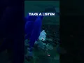 Download Lagu SONIC FRONTIERS SOAMY UNSUED VOICE LINES