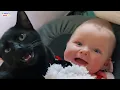 Download Lagu Rescued Cat Can't Hold Back His Emotion At First Time Meeting His Baby Sister