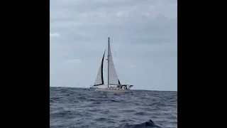 Just another sailboat passing by in the big Atlantic Ocean. #atlanticocean #sailing ng