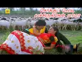 Download Lagu சொக்குப் பொடிவச்சிருக்கேன் மாமா | Thangamana Raasa Super Song | Tamil HD Video