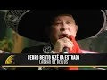 Download Lagu Pedro Bento \u0026 Zé Da Estrada - Ladrão De Beijos - 55 Anos De Sucesso