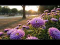 Download Lagu Послушайте эту песню, и вам станет лучше 🎶 | Сергей Грищук – Найди покой в ​​прекрасных мелодиях