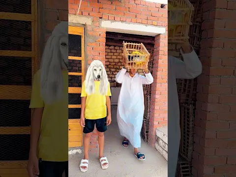 مقلب قلبو