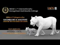 Unleash Your Creativity IACG Introduces Intermediate in CGA CSE for Creative Minds