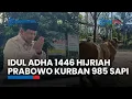 Download Lagu Idul Adha 2025, Prabowo Kurban 985 Ekor Sapi