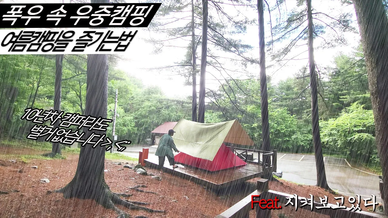폭우 속 우중 캠핑 솔로캠핑  (청태산 자연휴양림) 여름캠핑10년차 캠퍼가 우중캠핑을 즐기는 법 サムネイル