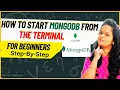 Starting MongoDB from the Terminal Quick Guide How to Launch MongoDB Using the Command Line