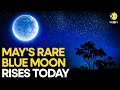 Blue Moon 2026 When and Where to See the Second Full Moon of May WION ORIGINALS