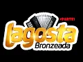 Download Lagu Lagosta Bronzeada Baú Alta Qualidade Médios Topados #parte1