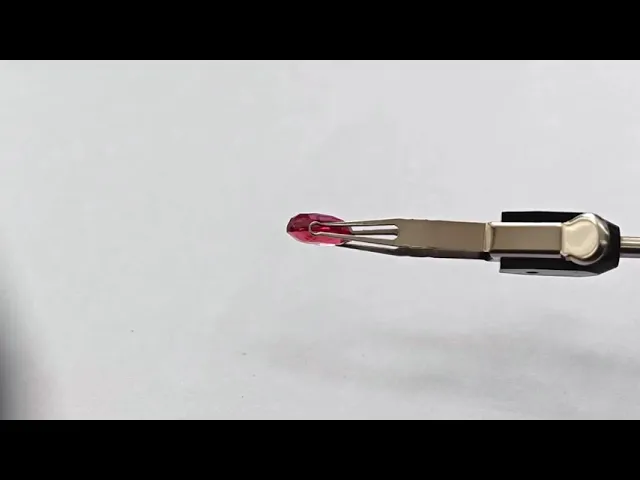 Oval Ruby 2.79 ct.