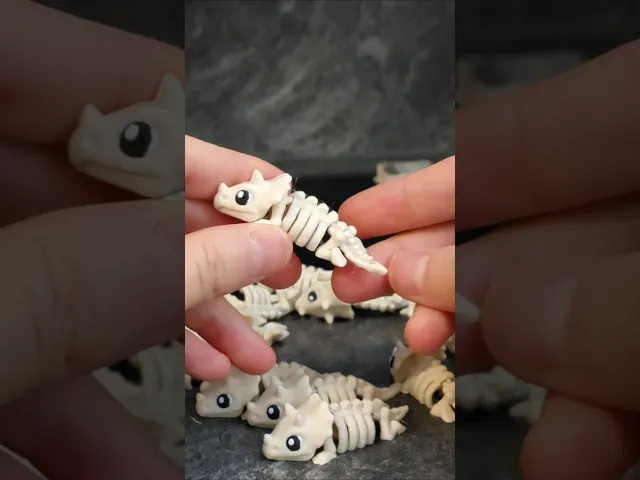 Tiny Skeleton Triceratops video thumbnail