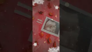 حلمنا كتير نكون مع بعض 